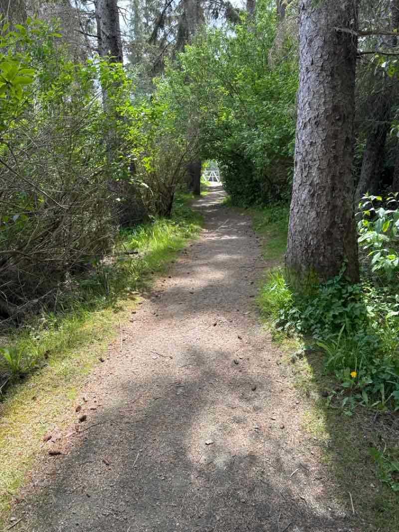 walking near me in Hackett Park in spring