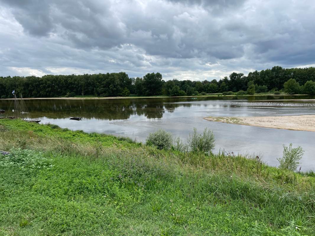 walking near me in Jardin Hélène-Cadou in winter