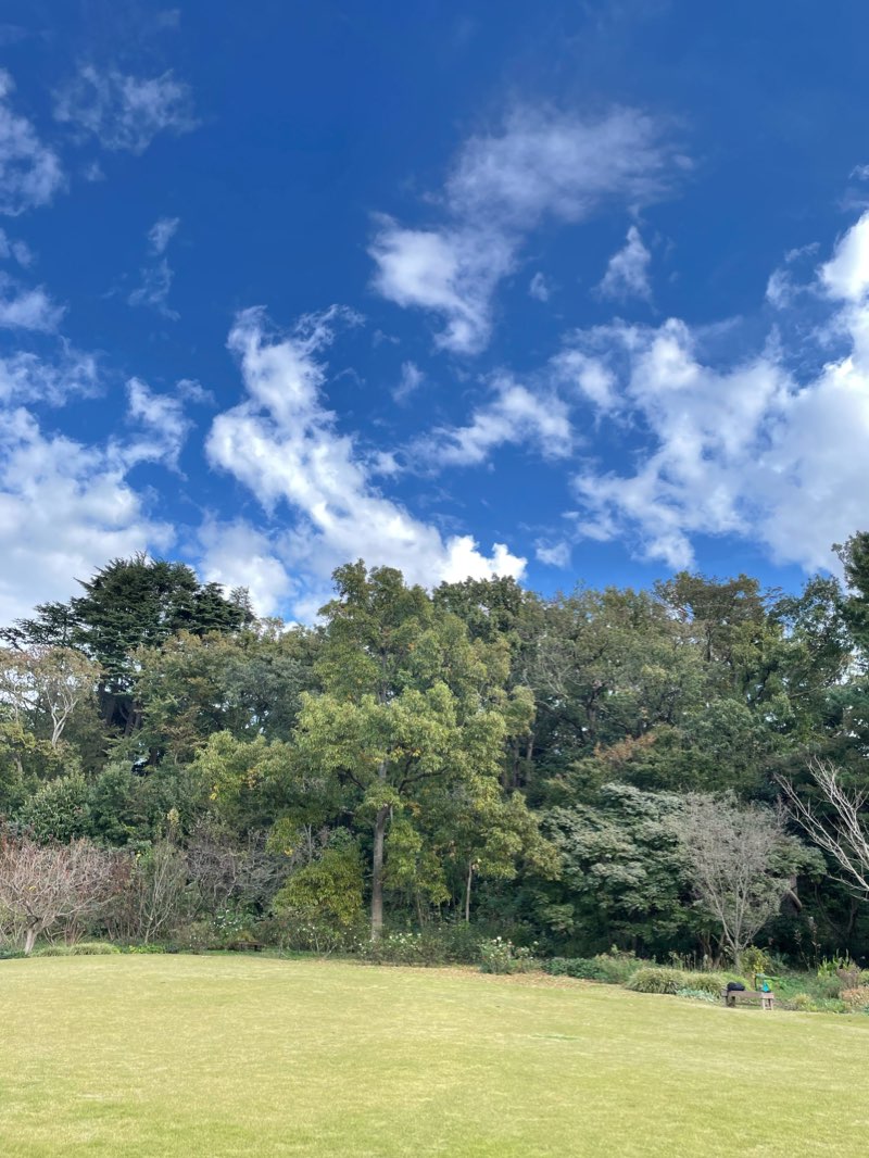 walking near me in 長久保公園 in winter