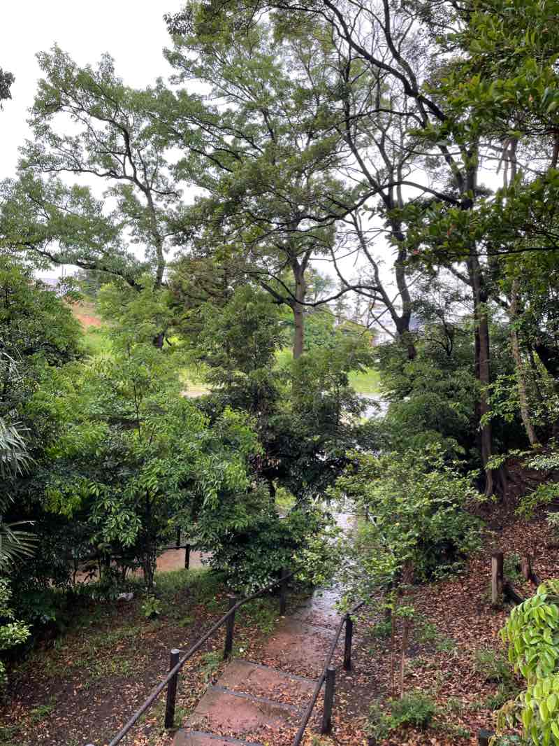 walking near me in 宮ノ下公園 in winter