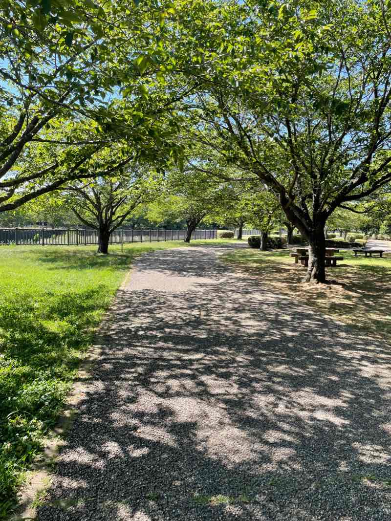 walking near me in 引地川親水公園 in winter