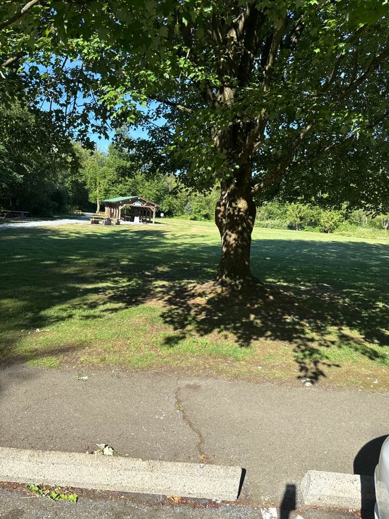 walking near me in Aldergrove Regional Park in summer