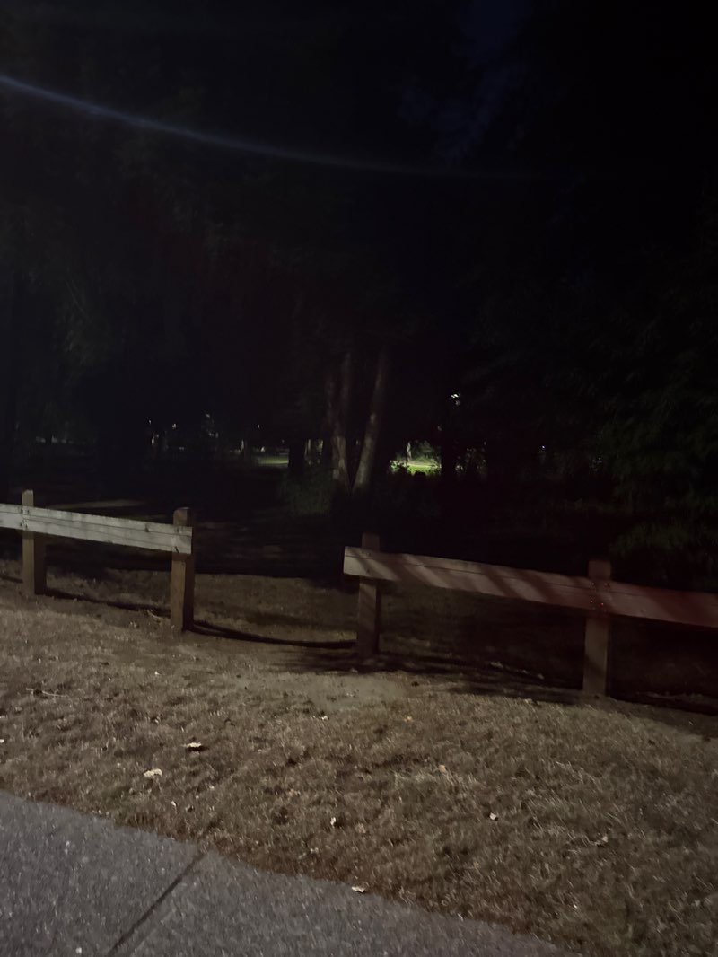 walking near me in Larch Park in summer
