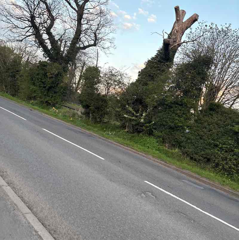 GAW post 1
