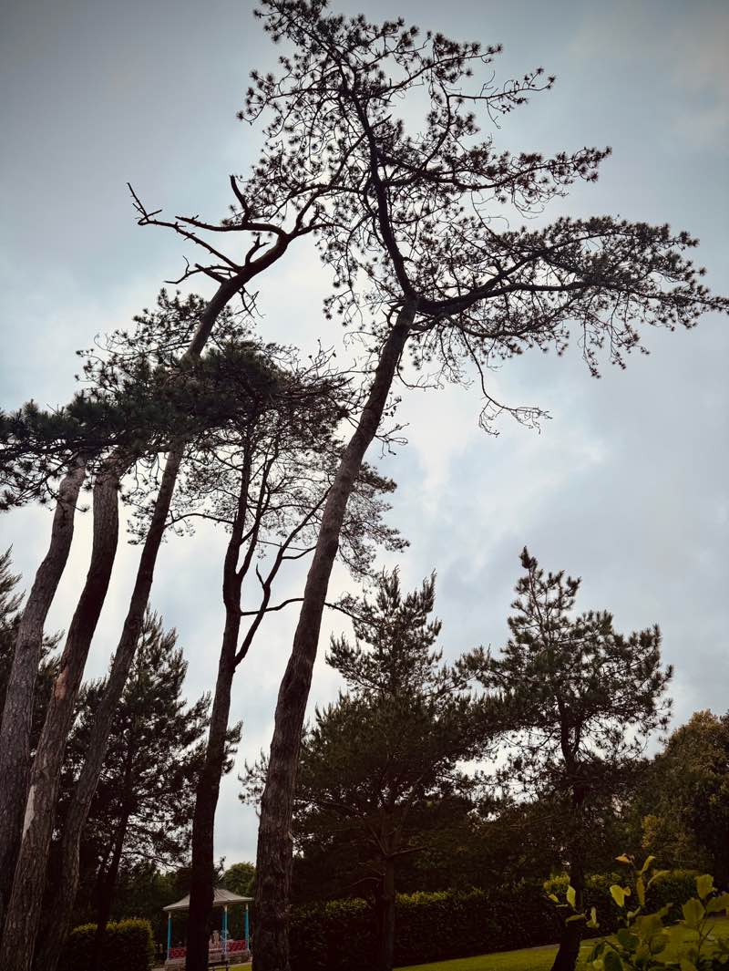 walking near me in People's Park in summer
