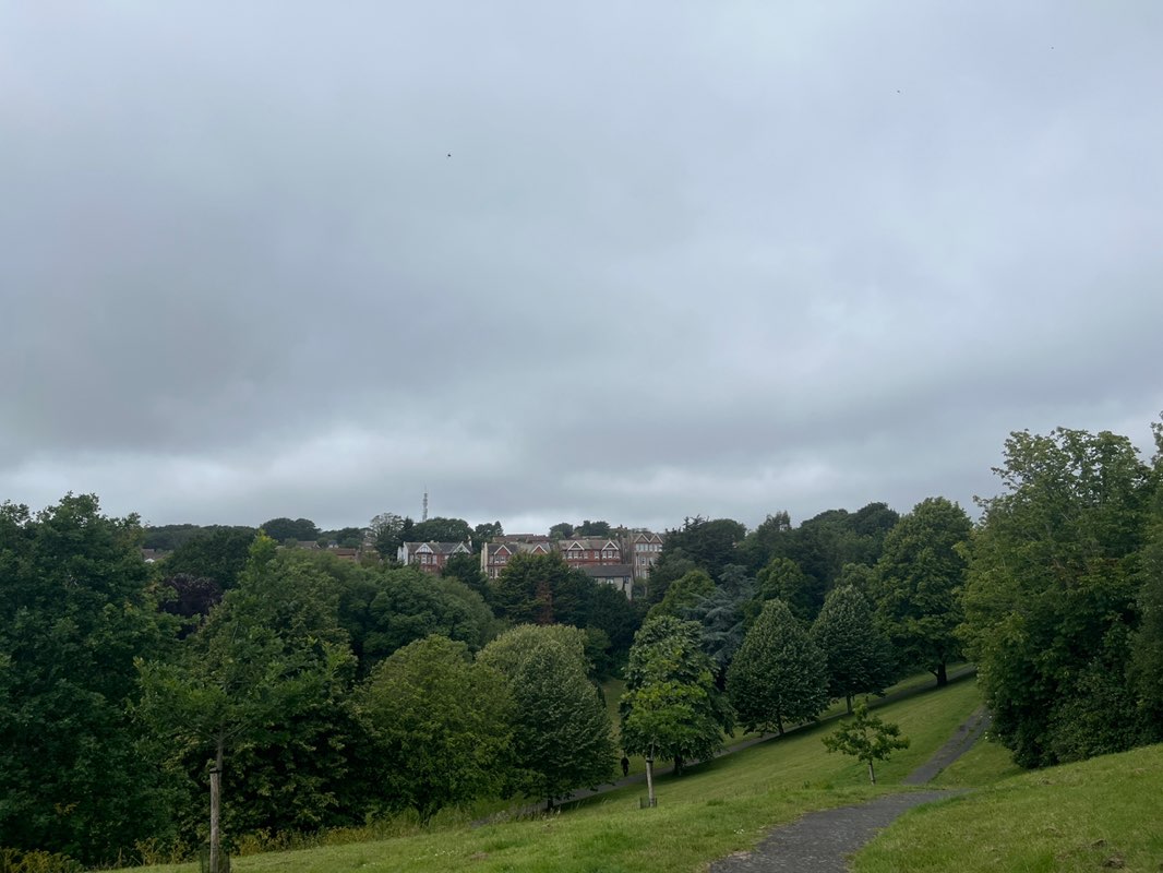 walking near me in Linton Gardens in summer