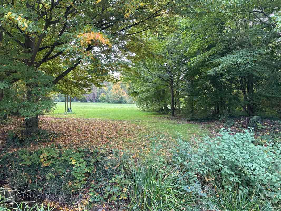 walking near me in Schlosspark in autumn