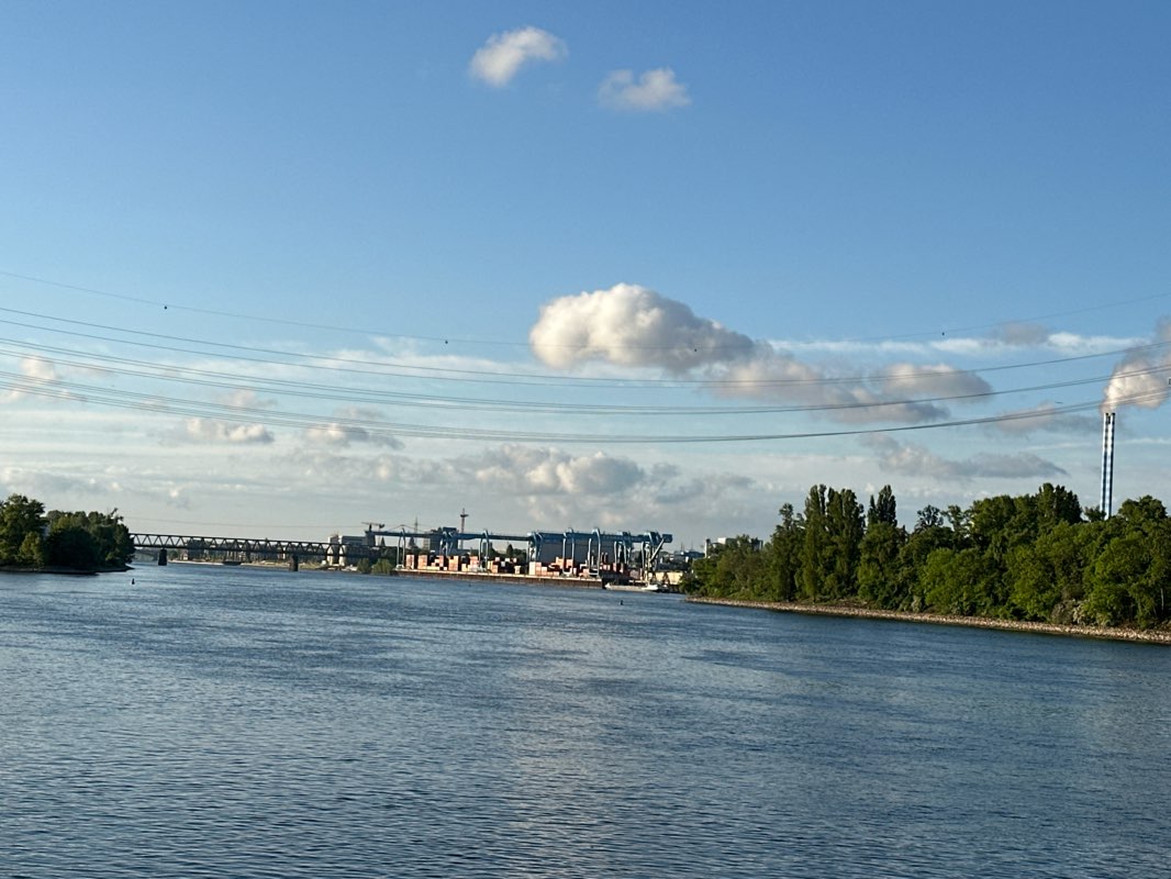 walking near me in Robert-Krekel-Anlage in spring