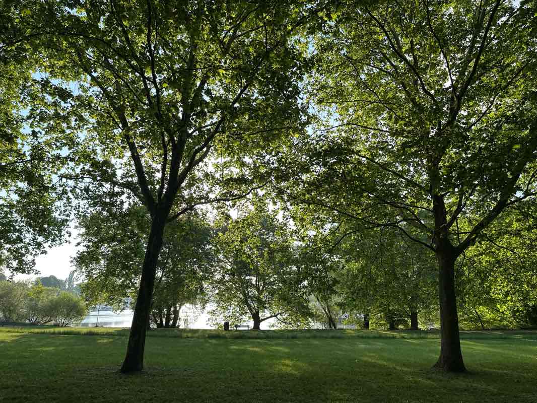 walking near me in Rheinwiesen in spring