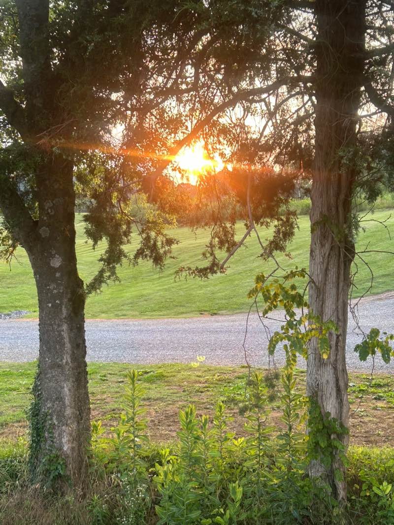 walking near me in Field of Dreams Recreational Complex in summer