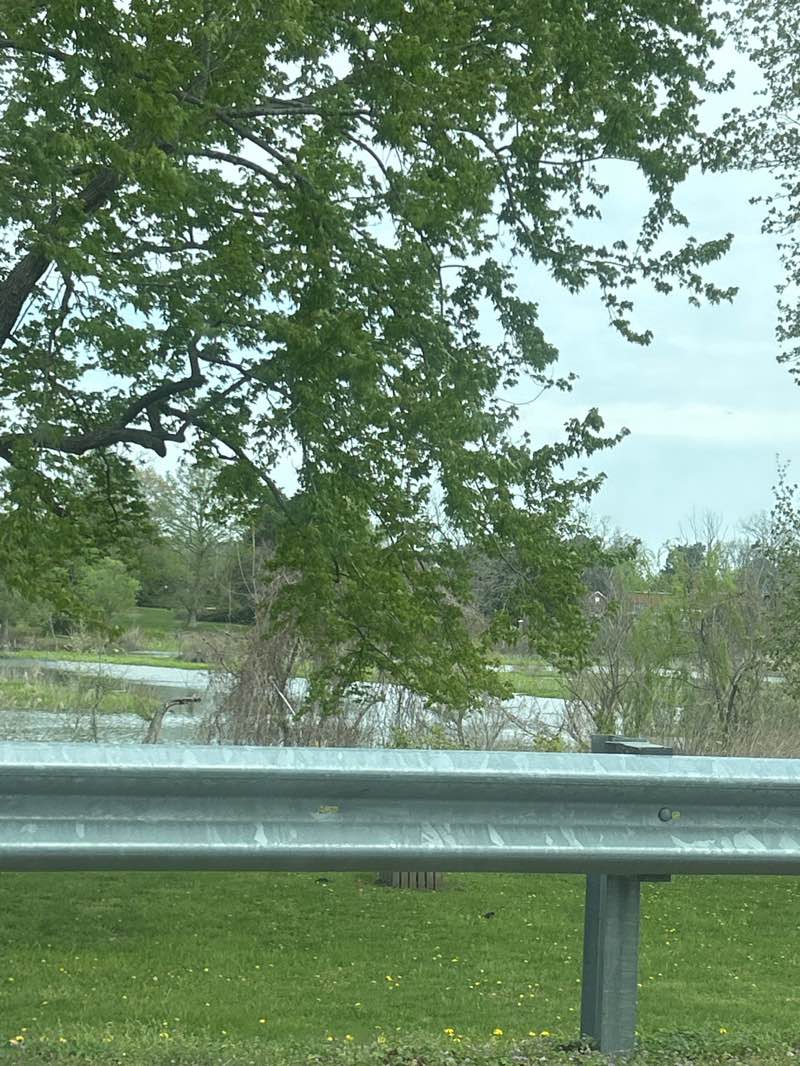 walking near me in Manokin Park in spring