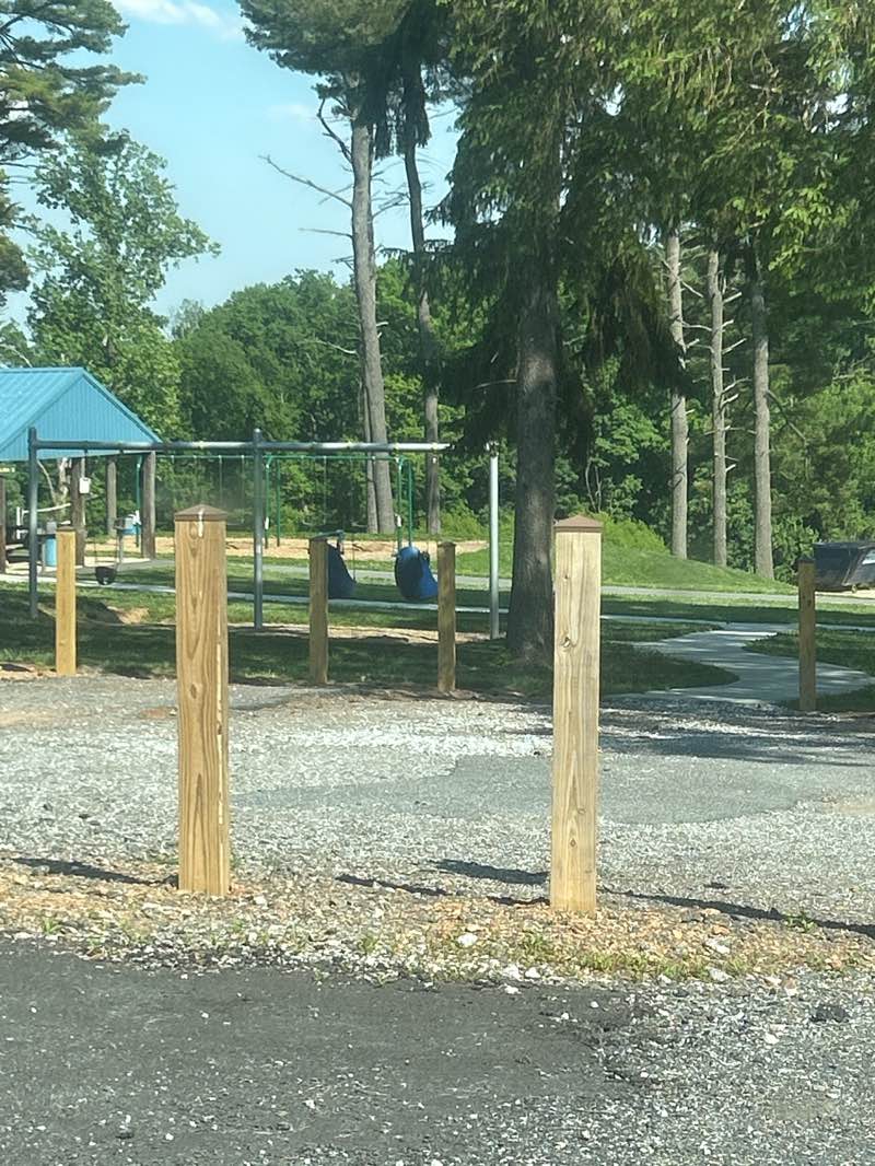walking near me in Christmas Tree Park in summer