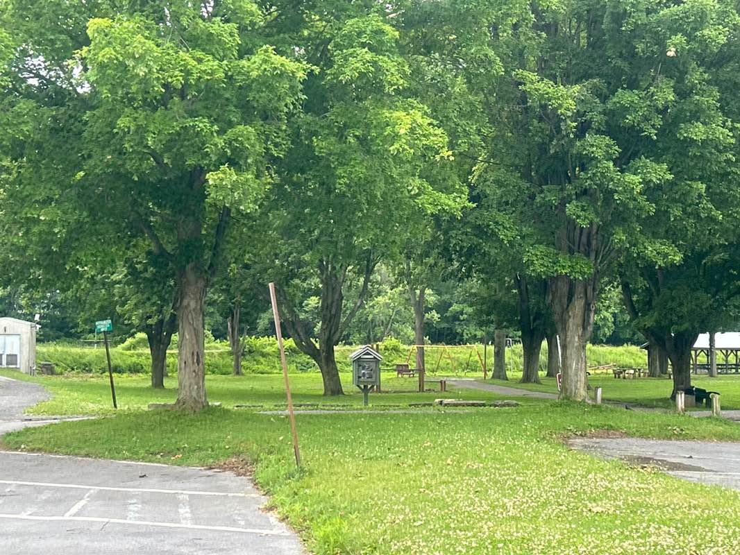 walking near me in Harmond Field in summer
