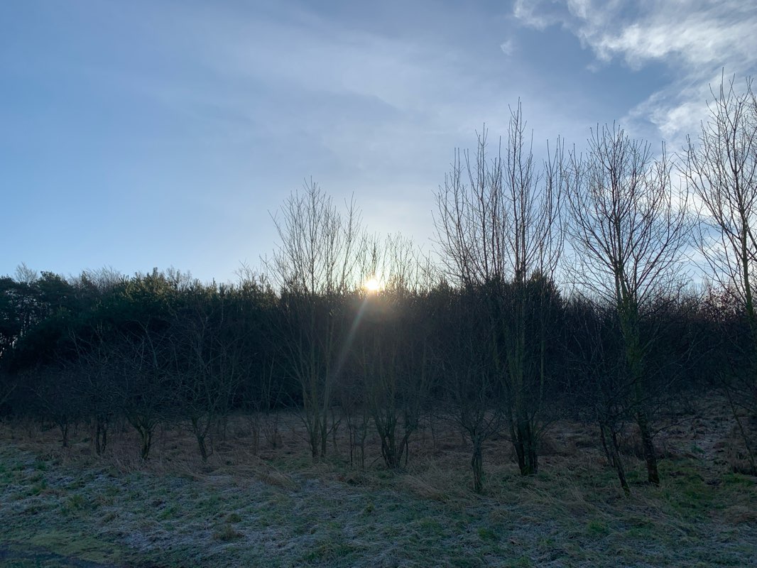 walking near me in Ostseerennbahn in winter