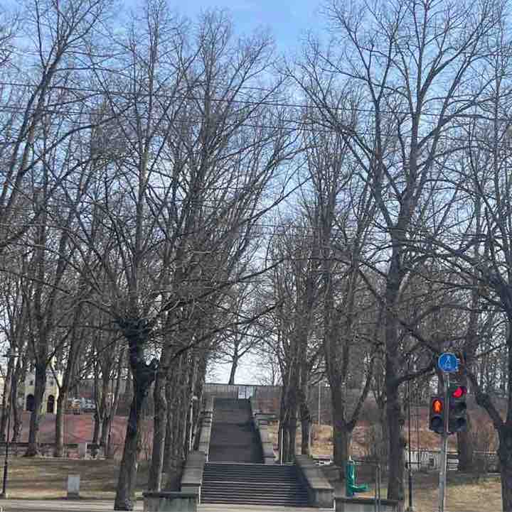 juliamiscenko post 1