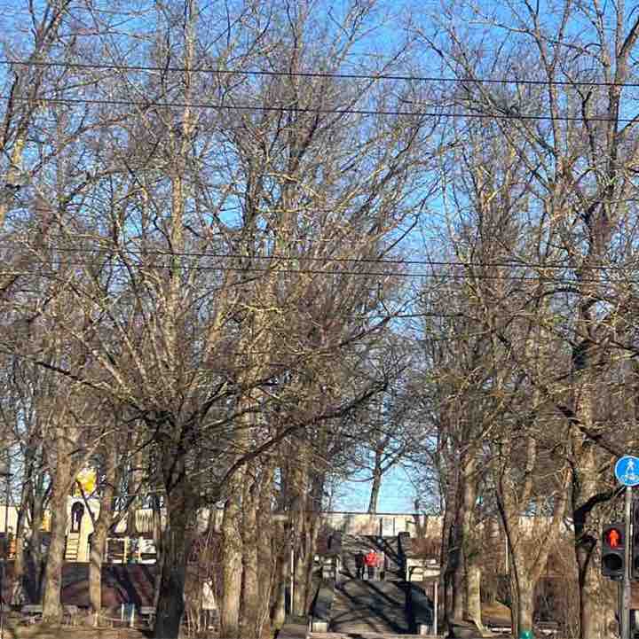 juliamiscenko post 1