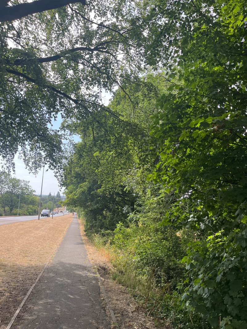walking near me in Kingsway Gardens in summer