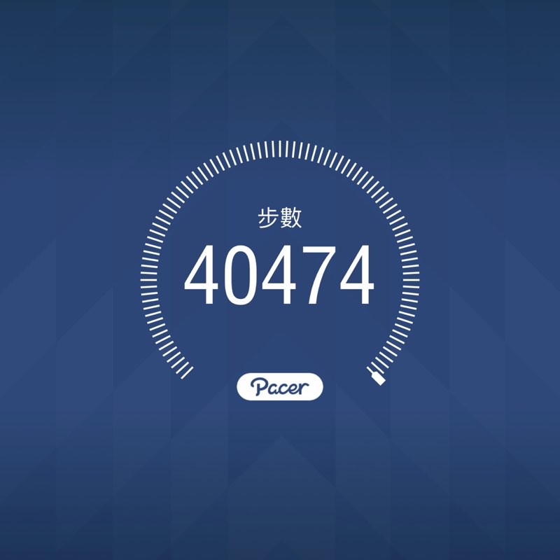 野生的花狗 post 1