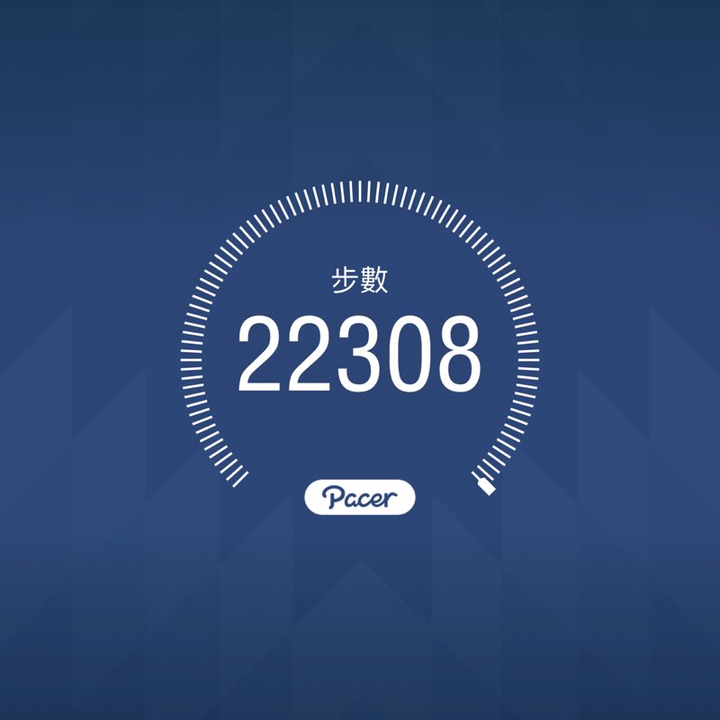 野生的花狗 post 1