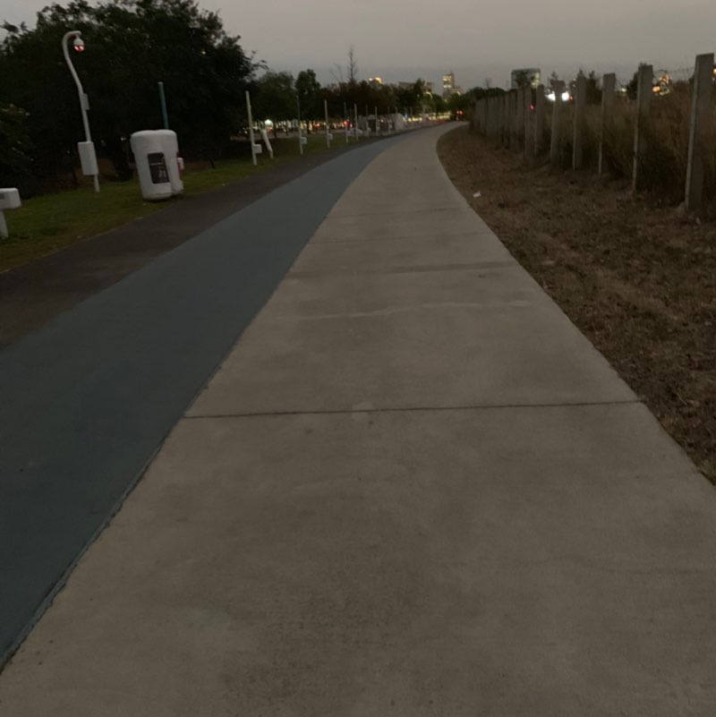 野生的花狗 post 2