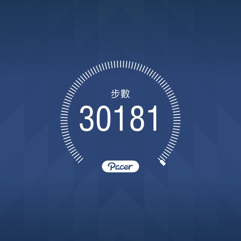 野生的花狗 post 1