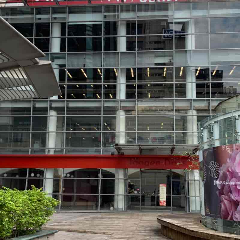 野生的花狗 post 3