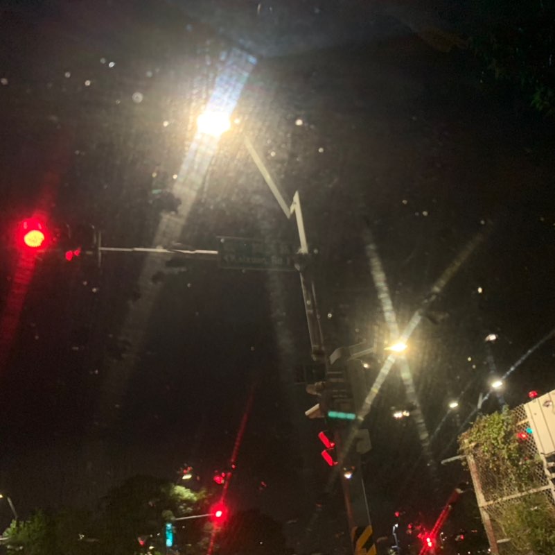 野生的花狗 post 3