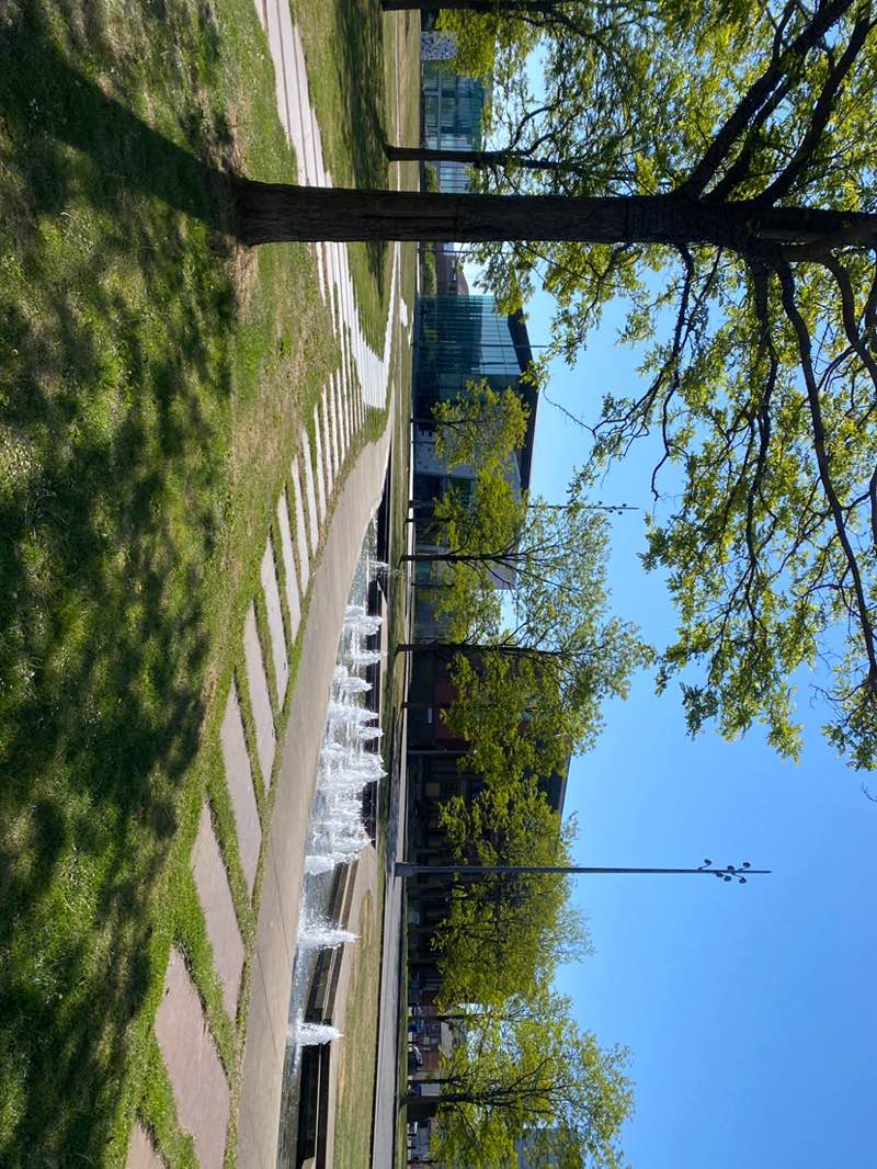 walking near me in Central Square Gardens in spring