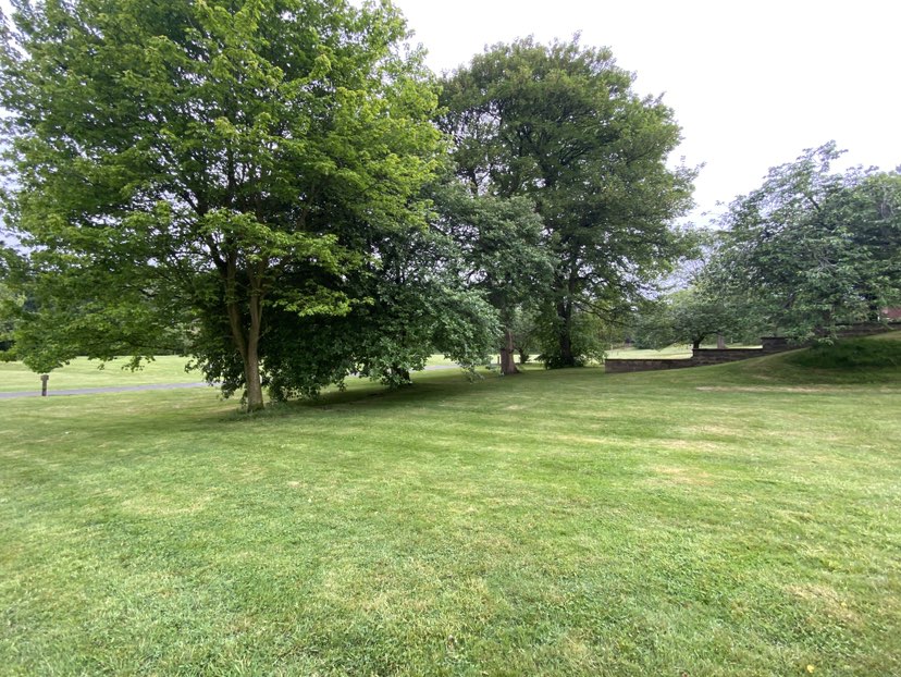 walking near me in College Lawns in spring