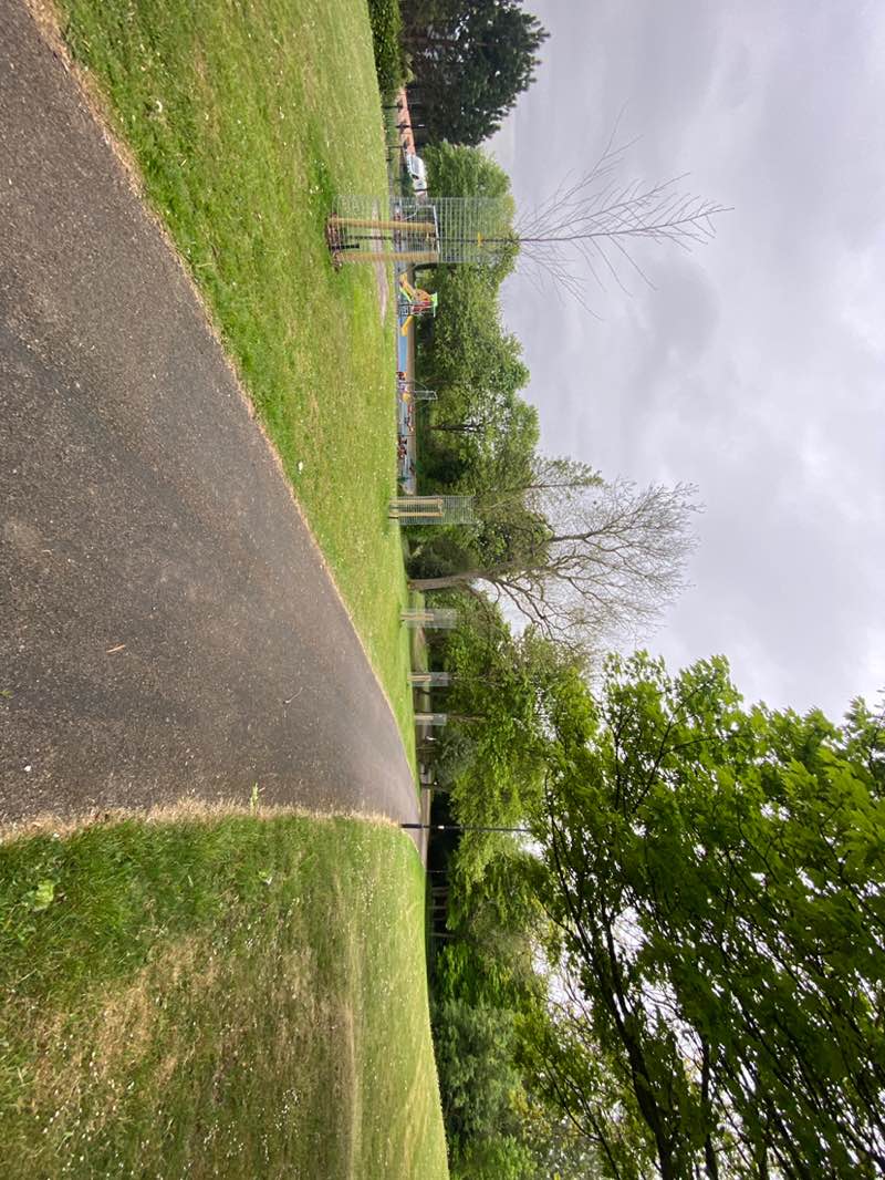 walking near me in Elswick Park in spring