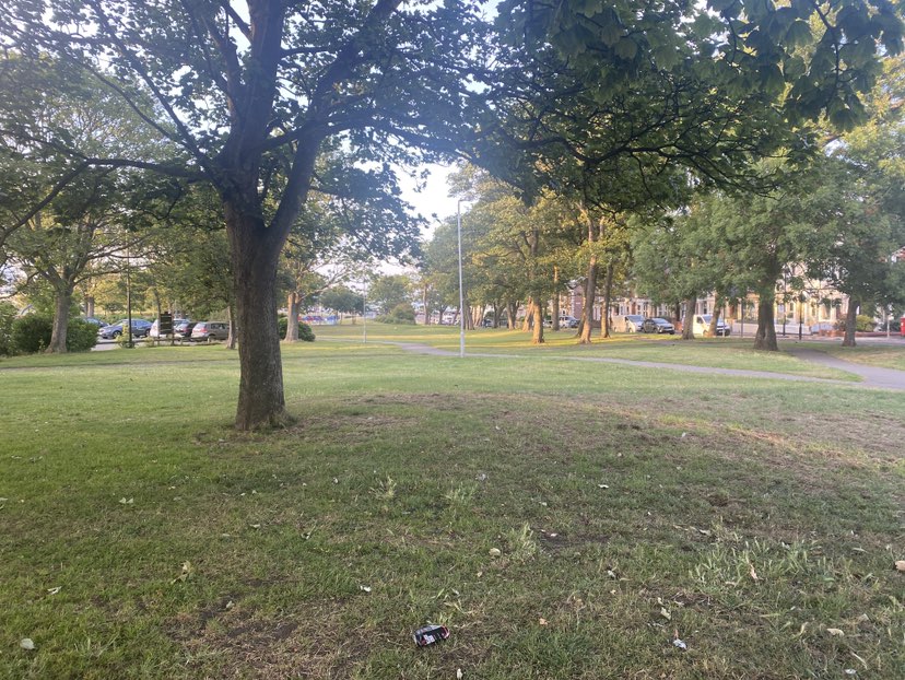 walking near me in Whitley Park in summer
