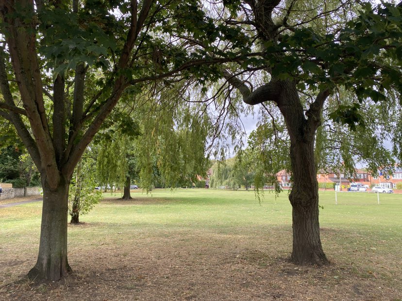 walking near me in Elgy Green in autumn