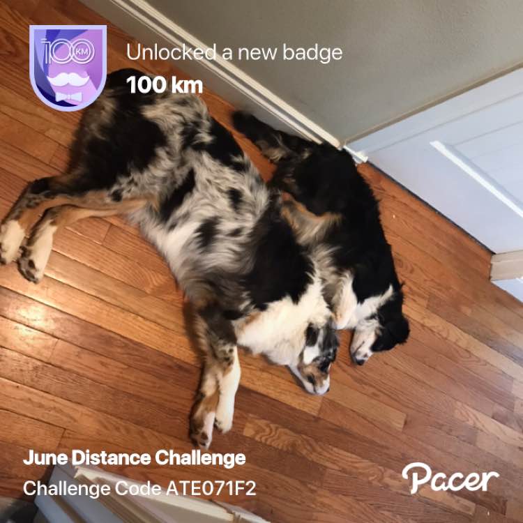 Dragonsliveon post 1