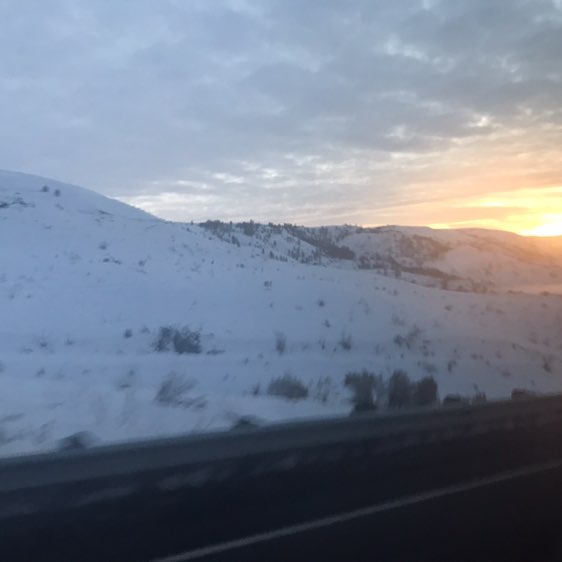 Dragonsliveon post 2