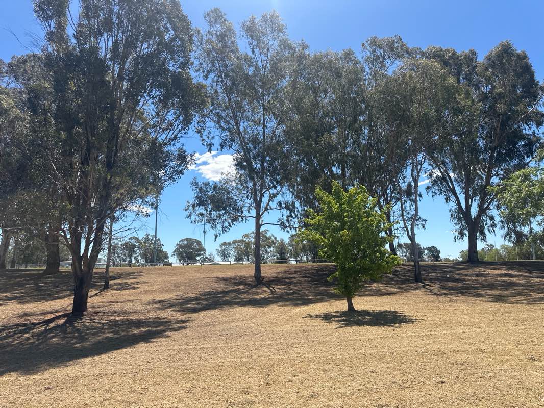 walking near me in Mona Alice Berruex Park in summer