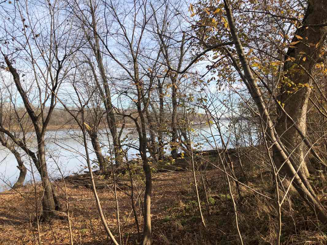 walking near me in Bles Park in winter