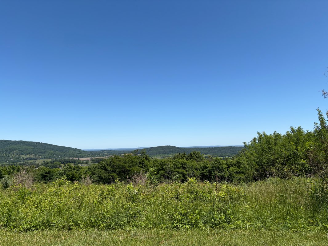 walking near me in PEC Holding in summer
