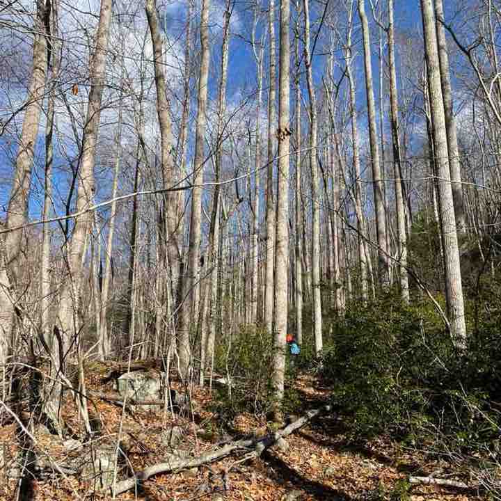 🏔Nature Group🏔 richard post image