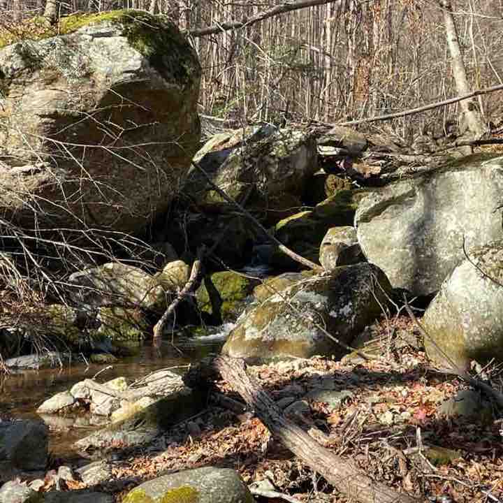 🏔Nature Group🏔 richard post image