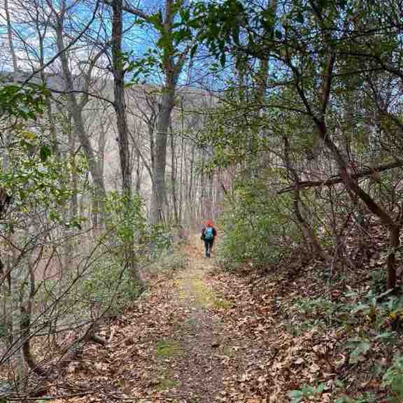 🏔Nature Group🏔 richard post image