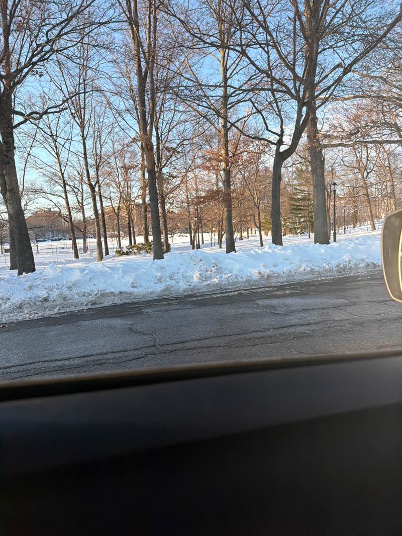 walking near me in Clove Lakes Park in winter