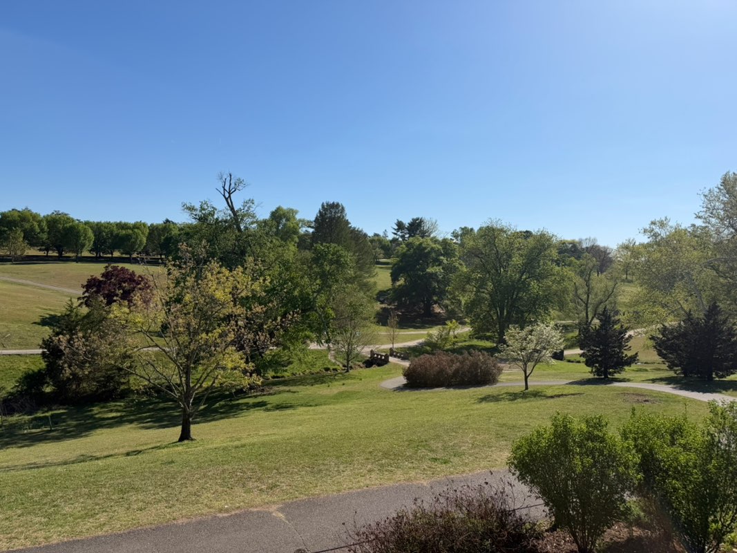 walking near me in Maymont in spring