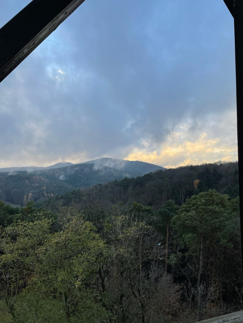 walking near me in Kurpark in winter