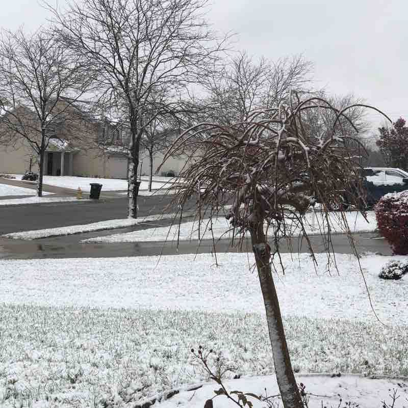 🇵🇰Nasir gill🇺🇸 post 2