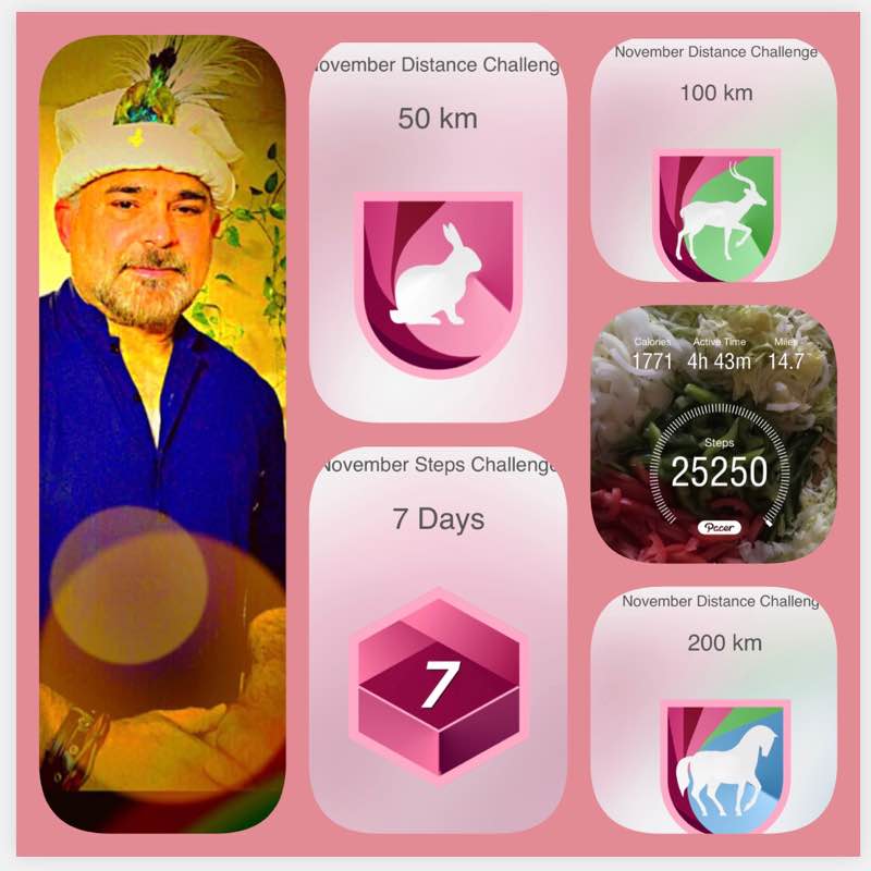 🇵🇰Nasir gill🇺🇸 post 1