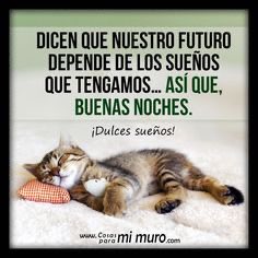 fco javier  post 1