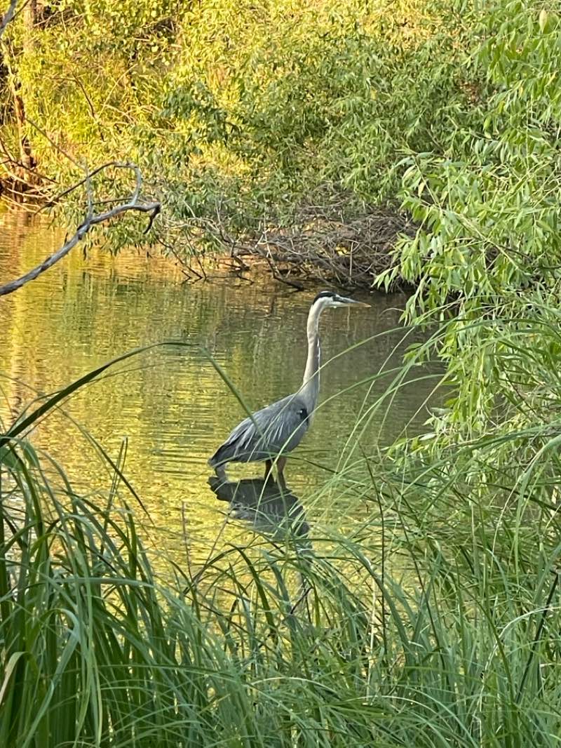 walking near me in Larson Park in winter