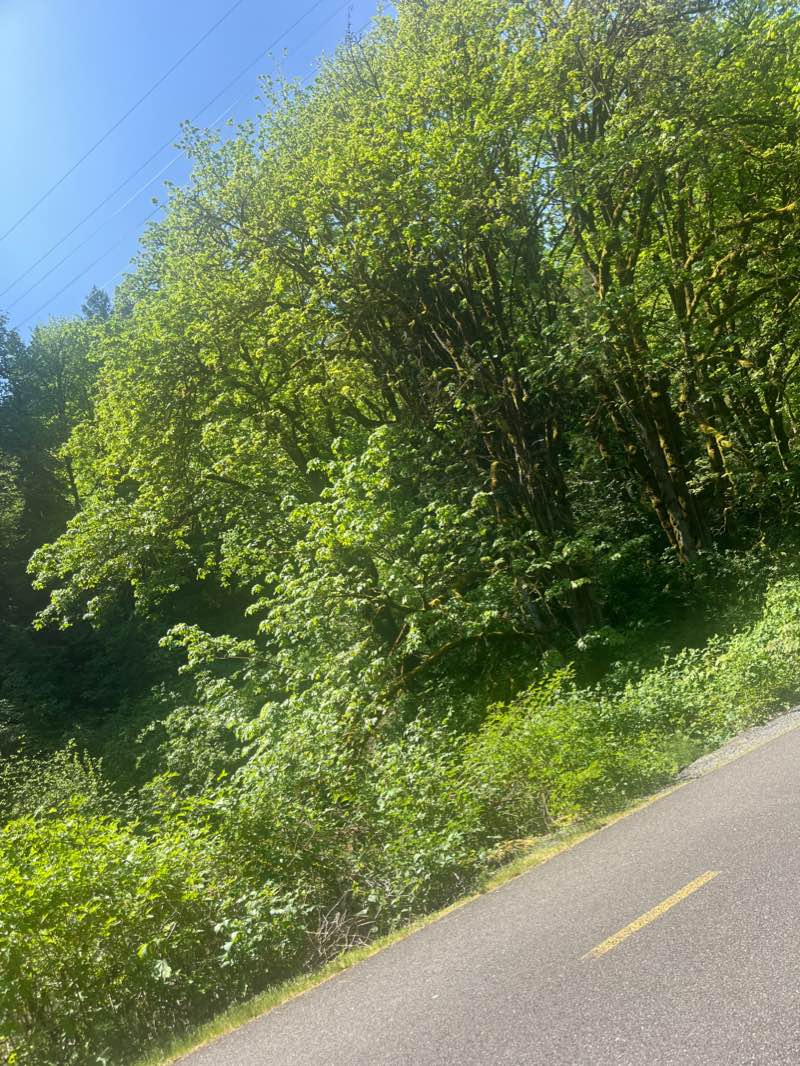 walking near me in Riverview Park in winter