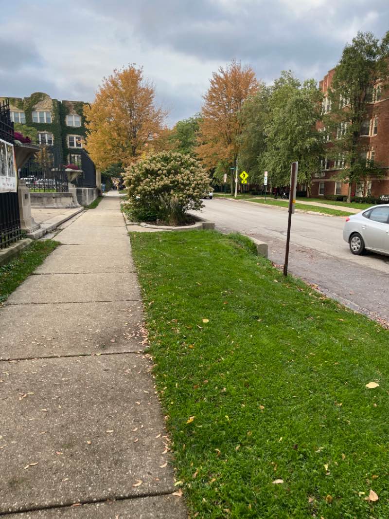 walking near me in Mills Park in winter
