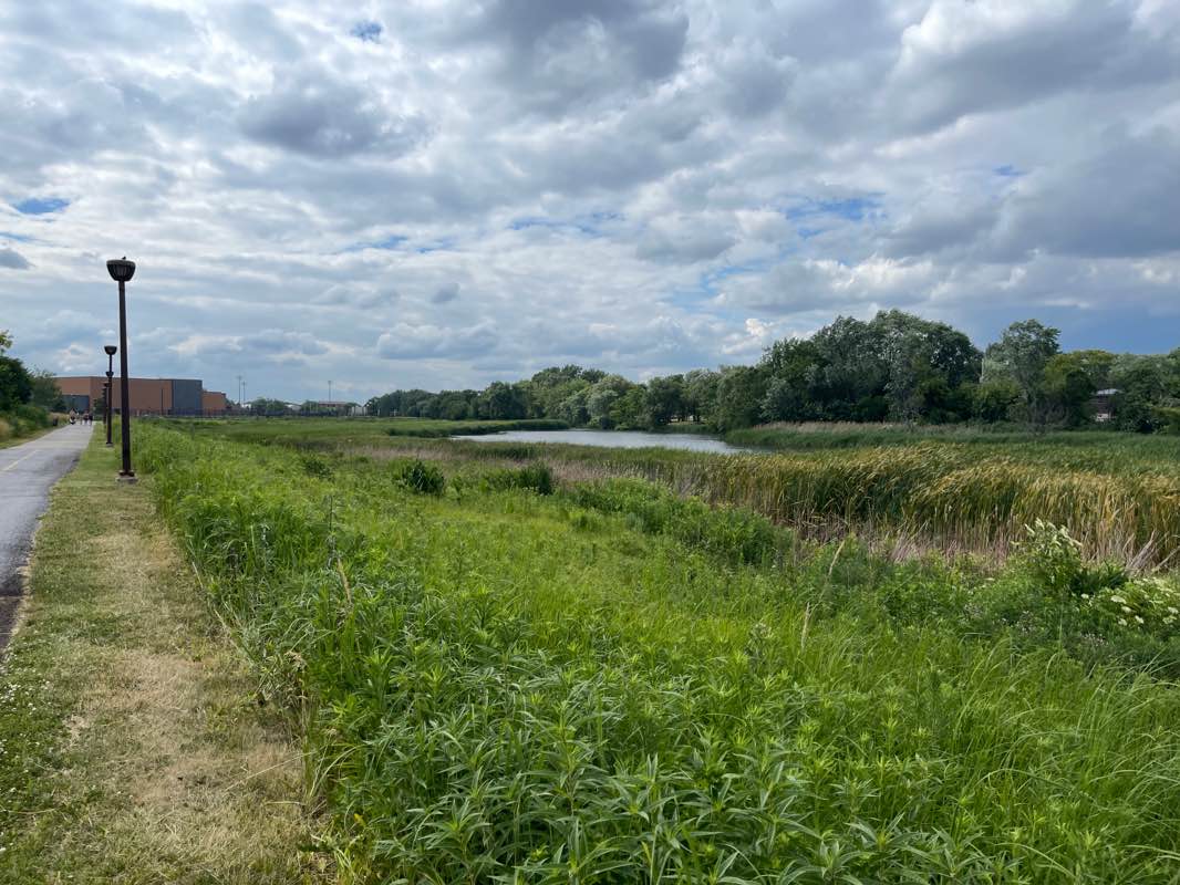 walking near me in Wolfe Wildlife Refuge Park in winter